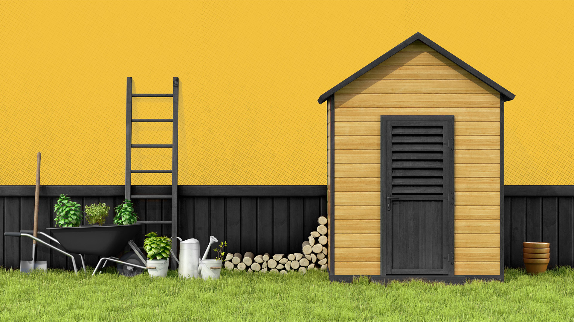 Shed building with bold design and premium construction